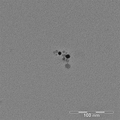 <mark class="highlighted">Copper Oxide</mark> Nanoparticles Stimulate the Immune Response and Decrease Antioxidant Defense in Mice After Six-Week Inhalation